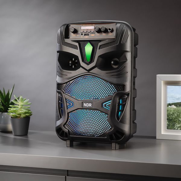 Wireless Karaoke Speaker with Mike v2
