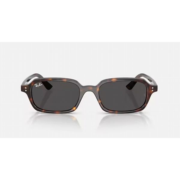 Rayban Zuri Havana Frame with Dark Grey Lens