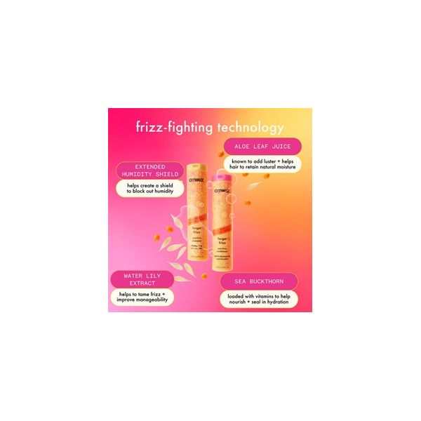 Amika Forget Frizz Shampoo 275ml