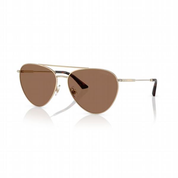 Jimmy Choo Pale Gold Frame With Dark Brown Lens - Size Extra Large